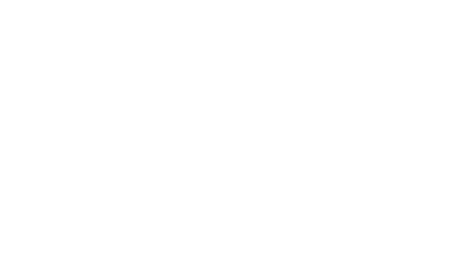 Big Supplements